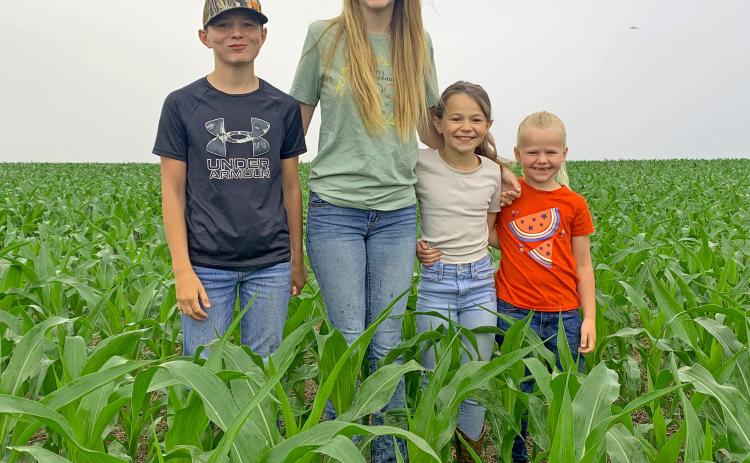 An adage as old as time itself states corn ought to be knee-high by the Fourth of July. Even with many area farmers getting a late start on planting due to weather-related slow-downs, most corn in the area seems to be at least living up to that saying. Here, the children of rural Webster farmers Steve and Natalie Kuecker stand among a field of their father’s crop. From left are Bennett, 12, Kinsey, 14, Ada, nine and Lucy, six. This picture was taken June 27. Reporter &amp; Farmer | Amanda Dulitz