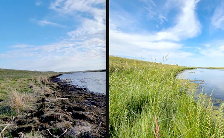 A section of Blue Dog Lake shoreline before and after the implementation of a South Dakota state government program paying for buffer strips to improve water quality. The program covered the Big Sioux River watershed. Reporter &amp; Farmer | Photo courtesy of the Department of Agriculture and Natural Resources