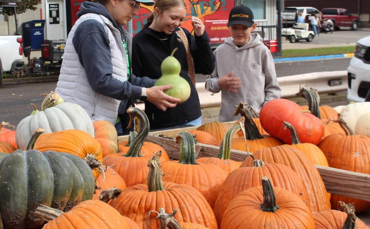 Melissa Waldner, left, helps Mallory Snaza center, and Owen Snaza, right, pick pumpkins to take home Oct. 3 at Pumpkin Fest in Webster. Reporter &amp; Farmer | Timothy Gibson