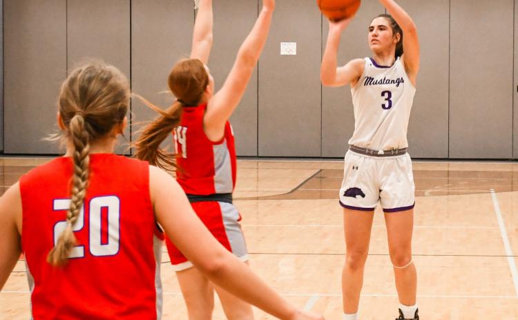 Addison Heinje of Waubay/Summit launches a three-pointer during the Mustangs 52-41 Region 1B playoff victory over Hitchcock-Tulare Patriots Feb. 26 in Summit. Heinje finished with a 34 point, 11 rebound double-double to lead the Mustangs to a SoDak 16 appearance. Reporter &amp; Farmer | Rob Dulitz