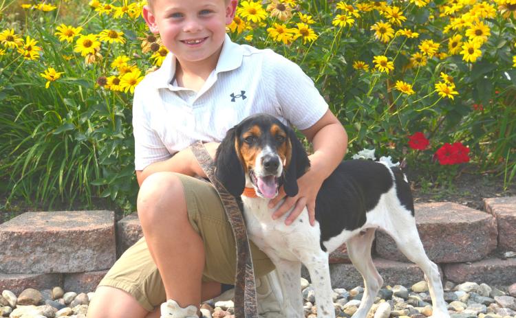 Seven-year-old Theodore Ure of Webster holds Cooper, the Walker Coonhound puppy he won through the Great American Hound Puppy Giveaway. Ure traveled with his father Jake to Wyoming to pick up Cooper and looks forward to training and hunting with his new best friend. Reporter &amp; Farmer | Timothy Gibson