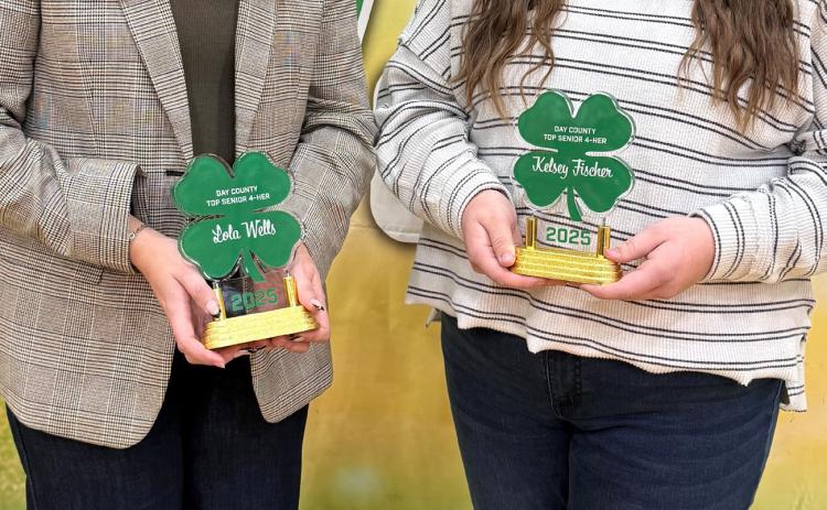 Lola Wells, left and Kelsey Fischer were each recognized as top senior by Day County 4-H. Reporter &amp; Farmer | Subscriber snapshot