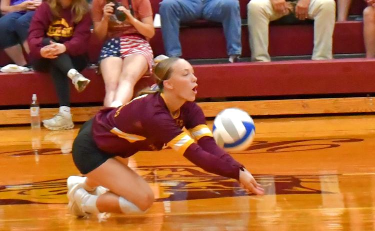 Webster Area Bearcats had a dominating win against Deuel Aug. 28. Here, Emari Kaufman gets a diving save to help keep the rally going. Reporter &amp; Farmer | Connor Handrahan