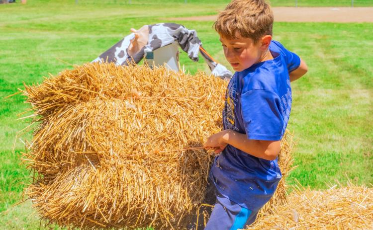 Jackson Sandal hoists a straw bale during the fittest farmer contest at Eden Days June 28. He competed with his mother Jennifer Sandal both of Eden. See more photos throughout. Reporter &amp; Farmer | Leyton Beardslee