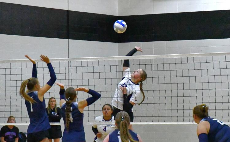Waubay/Summit Mustangs hosted a volleyball game against Great Plains Lutheran Sept. 17. Mustangs had another great night and walked away with a quick 3-0. Here, Mackenzie Zubke drills the ball down to score another point for the Mustangs. Reporter &amp; Farmer | Connor Handrahan