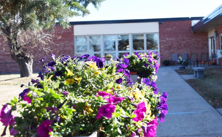 The flowers at Bethesda Home in Webster are still vibrant and full of life as of Oct. 25 with the end of of October nearing and temperatures steadily declining. Reporter &amp; Farmer | Brenner Cariveau
