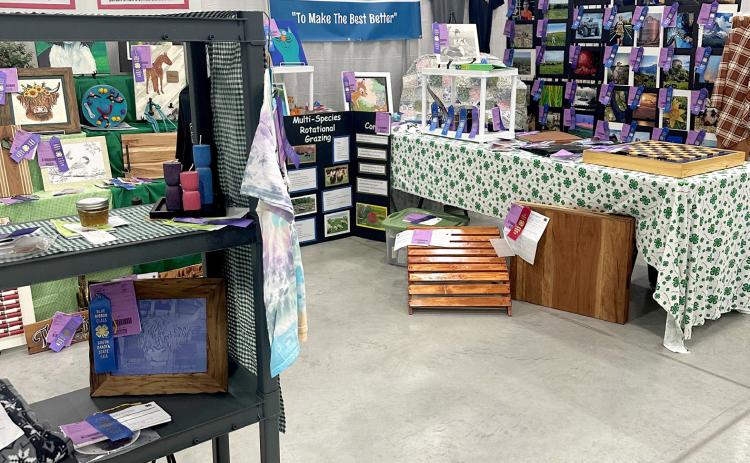 Day County 4-H members earned 120 ribbons for their South Dakota State Fair display exhibits. Pictured is the Day County booth in Norby Hall on the fairgrounds in Huron. Reporter &amp; Farmer | Subscriber snapshot