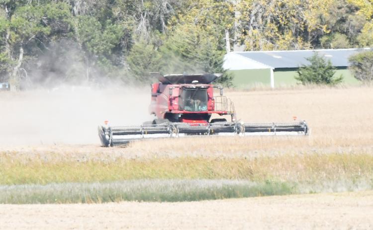 It's the time of year where farmers begin to harvest their crops. Here, a farmer combines near 145th St., Oct. 4. Reporter &amp; Farmer | Brenner Cariveau