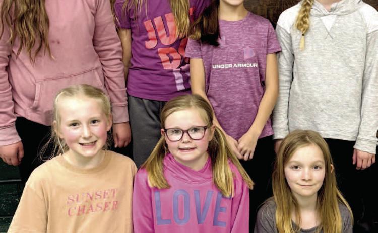 Pictured from left are local winners of Catholic Daughters education contest, front, Hilton Butler, Larissa Butler, Elizabeth VanElsacker; back, Aliyah Zirbel, Kallie Zirbel, Lindsey Butler and Hailey Butler. Reporter &amp; Farmer | Subscriber snapshot