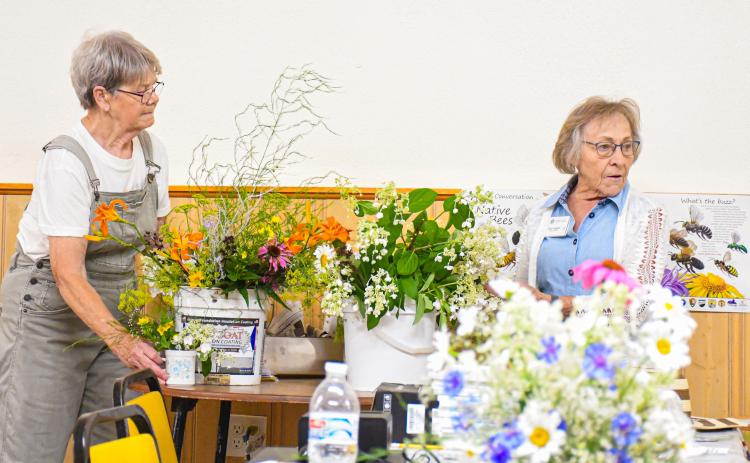 Webster area Master Gardeners Bev Schlotte and Ruby Huggett gave a presentation July 11 at Day County Arts Center for the pollinator tea event. The pair combined humor and knowledge for garden enthusiasts, focusing on educating attendees about the importance of pollinators in the world. Reporter &amp; Farmer | Amanda Dulitz