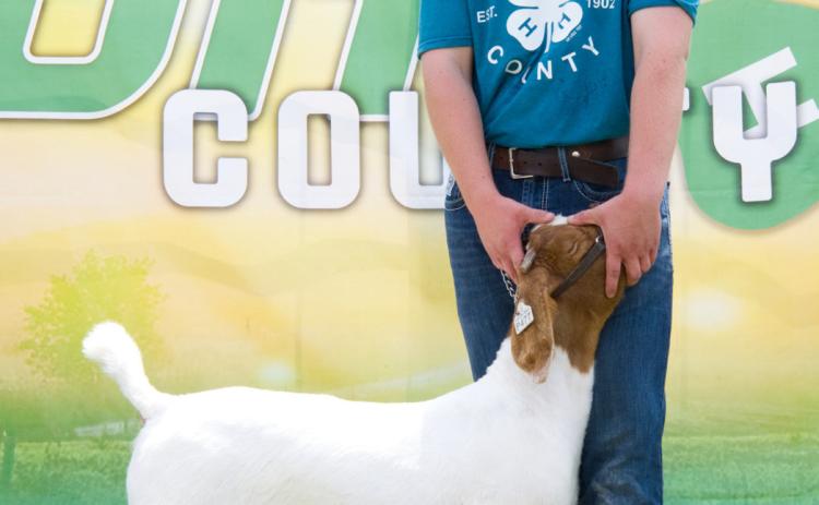 Delaney Atherton, pictured with his grand champion market goat, also won grand champion breeding goat and reserve champion breeding goat Aug 8 at the Day County Fair. Reporter &amp; Farmer | Leyton Beardslee