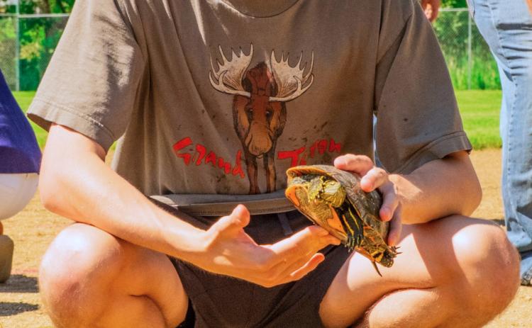 Andrew Pitzl of Eden waits for the start of his turtle racing heat during Eden Days festival June 28. Pitzl’s turtle dubbed Speedy couldn’t live up to its name and didn’t make the final round. Reporter &amp; Farmer | Leyton Beardslee