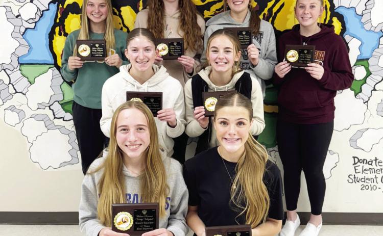 Webster Area volleyball receives team awa rds