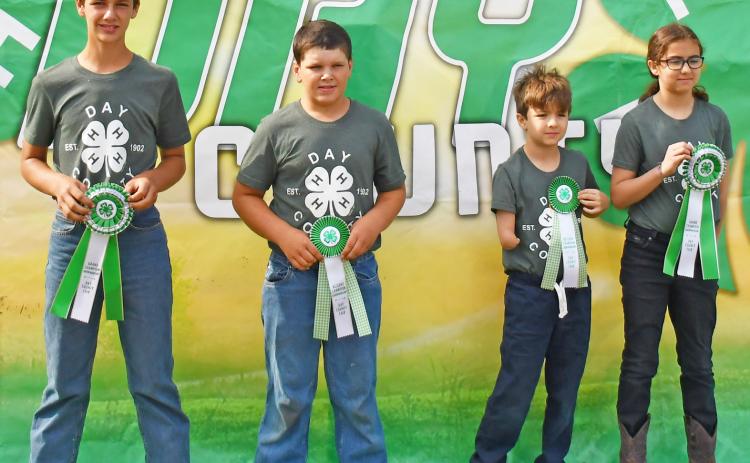 Best of show, judge’s choice