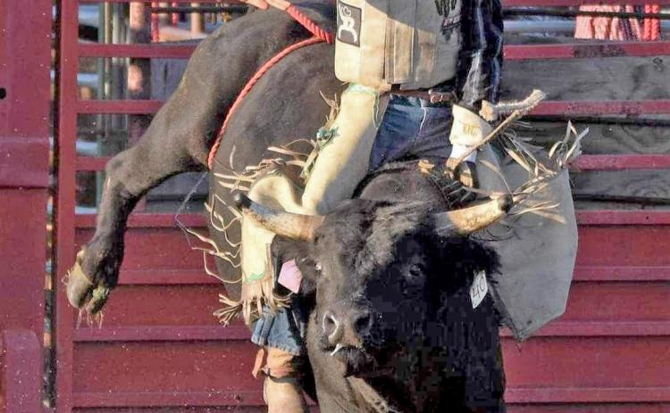 Roslyn teenager Wyatt Nelson has dreams of competing professionally in bull riding circuits someday. Currently, the 14-year-old rides in six different circuits and will be attending the National High School Rodeo, having qualified at state by placing third. Reporter &amp; Farmer | Subscriber snapshot
