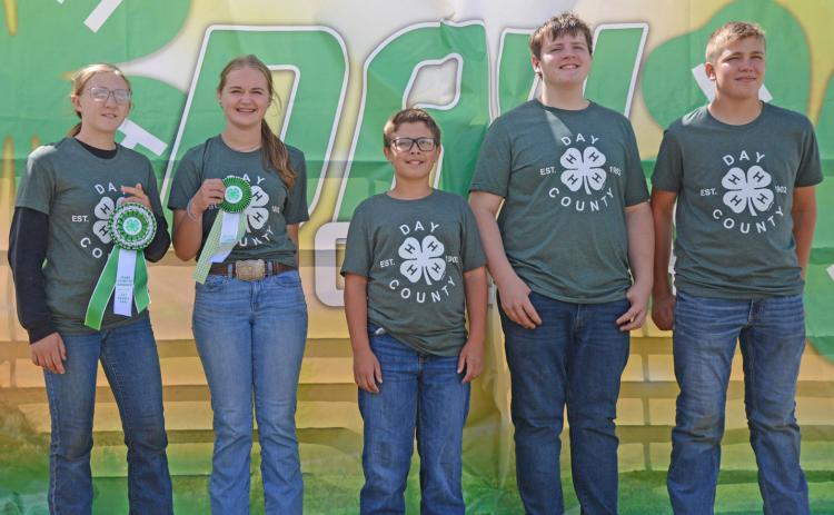 Junior swine showmen at the Day County Fair were, from left, grand champion Brooke Meland, reserve champion Claire Torrence, third place Parker Zirbel, fourth place Carson Fischer and fifth place Aiden Gaikowski. Reporter &amp; Farmer | Annie Witt