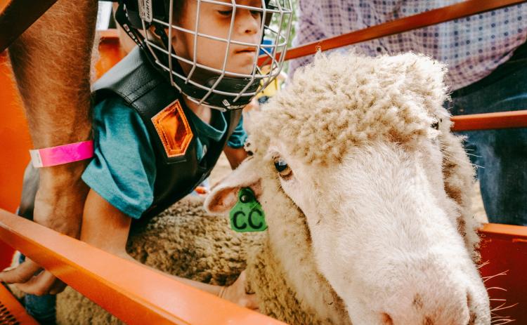 Camdyn Huffman, age eight, son of Curtis and Casey Huffman of Webster gets ready for his mutton busting attempt at the ranch rodeo during the Day County Fair Aug 8. Other events for kids at the rodeo included Little Miss and Mister Buckaroo and a wild calf scramble. See more photos from the weekend throughout this issue. Reporter &amp; Farmer | Leyton Beardslee