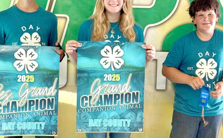 In the companion animal show, from left, Knute Hemmingson received overall reserve grand champion and Mackenzie Atherton overall grand champion and Levi Hemmingson received a blue ribbon. Reporter &amp; Farmer | Subscriber snapshot
