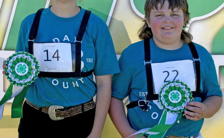 Makayla Meland was the grand champion dairy showman for the senior division while Henry Paulson was the grand champion dairy showman for beginners. Each showed during the Day County Fair Aug. 9. Reporter &amp; Farmer | Amanda Dulitz